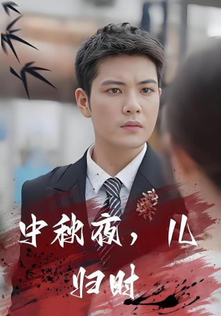 短剧中秋夜，儿归时海报