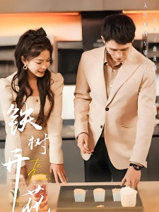 短剧铁树开花海报