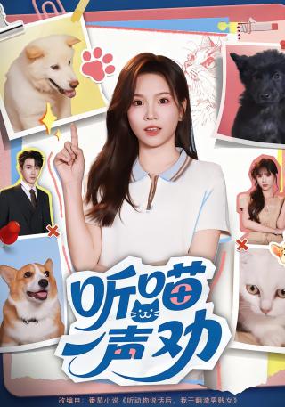 短剧听喵一声劝海报