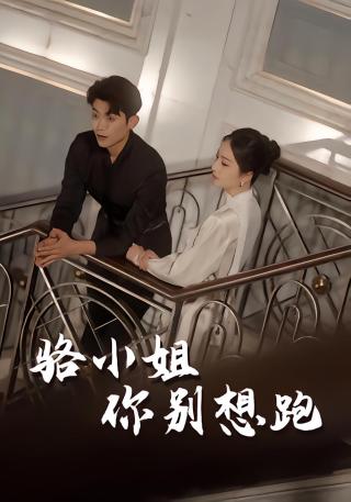 短剧骆小姐你别想跑海报