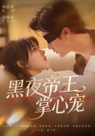 短剧黑夜帝王掌心宠海报