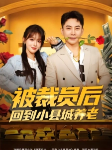 短剧被裁员后回到小县城养老海报