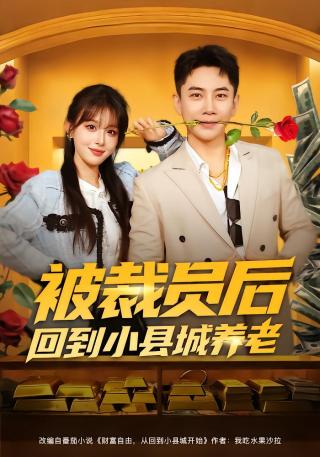 短剧被裁员后回到小县城养老海报