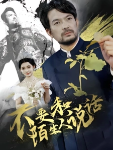 短剧不要和陌生人说话海报