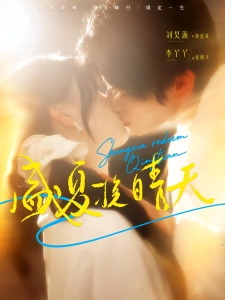 短剧盛夏挽晴天海报