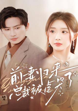 短剧前妻归来总裁被虐哭了海报