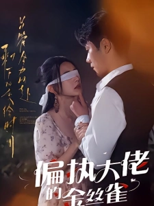 短剧偏执大佬的金丝雀海报