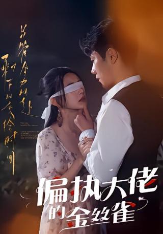 短剧偏执大佬的金丝雀海报