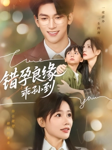 短剧错孕良缘乖孙到海报