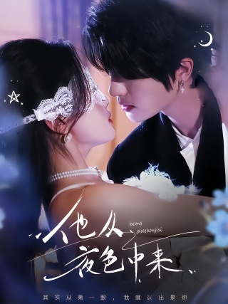 短剧他从夜色中来海报