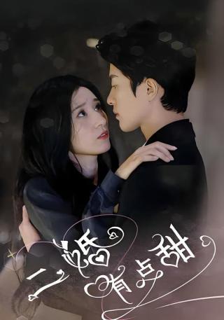 短剧二婚有点甜海报