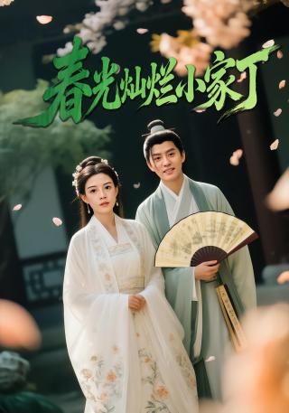 短剧春光灿烂小家丁海报