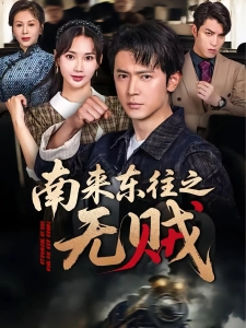 短剧南来东往之无贼海报