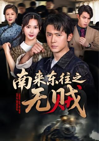 短剧南来东往之无贼海报