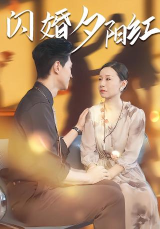 短剧闪婚夕阳红海报