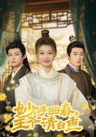 短剧妙手回春王爷请自重海报