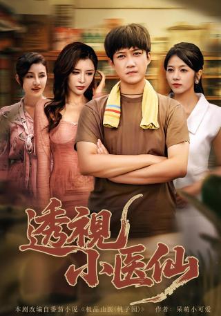短剧透视小医仙海报