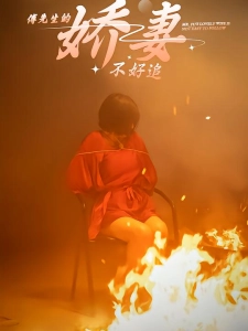 短剧傅先生的娇妻不好追海报