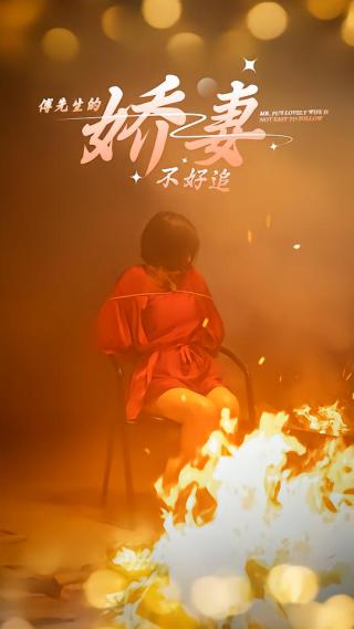 短剧傅先生的娇妻不好追海报