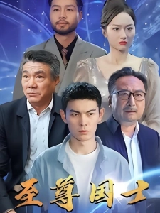 短剧至尊国士海报