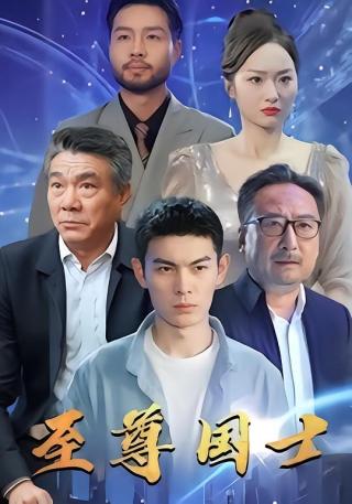 短剧至尊国士海报