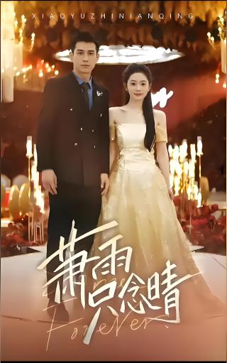 短剧萧雨只念晴海报