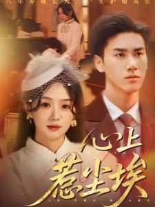 短剧心上惹尘埃海报