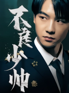 短剧不良少帅海报