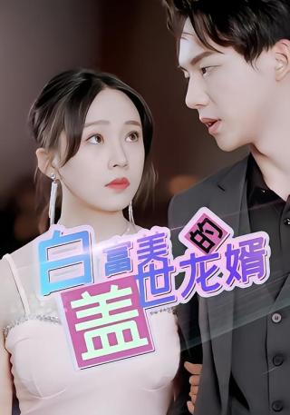 短剧白富美的盖世龙婿海报