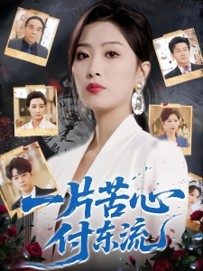 短剧一片苦心付东流海报