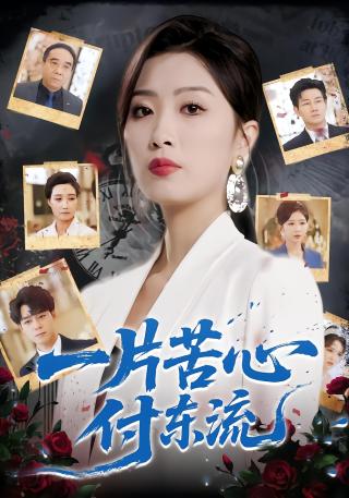 短剧一片苦心付东流海报