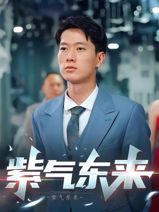 短剧紫气东来海报