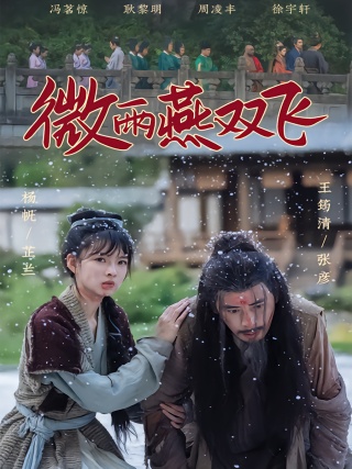 短剧微雨燕双飞海报