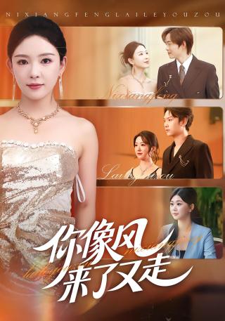 短剧你像风来了又走海报