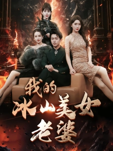 短剧我的冰山美女老婆海报