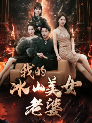 短剧我的冰山美女老婆海报