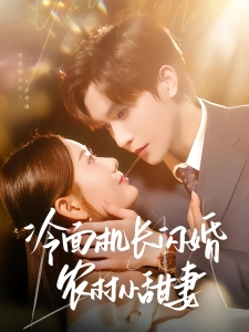 短剧冷面机长闪婚农村小甜妻海报