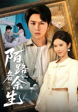 短剧陌路各余生海报