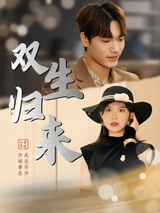 短剧双生归来海报