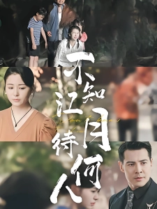 短剧不知江月待何人海报