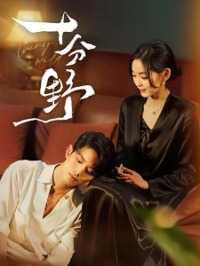 短剧十分野海报