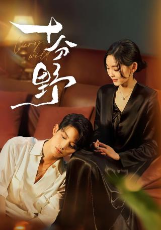 短剧十分野海报