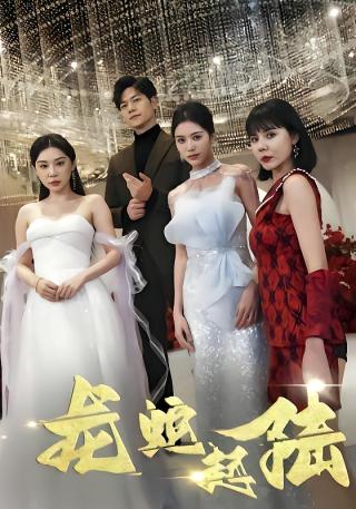 短剧龙蛇起陆海报