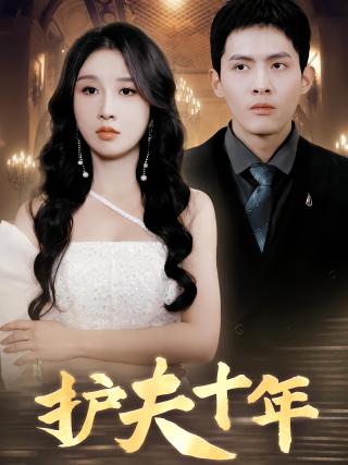 短剧护夫十年海报