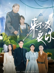 短剧来不及爱你海报