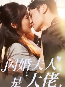 短剧闪婚夫人是大佬海报