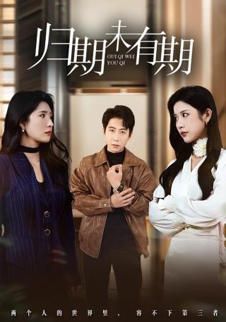 短剧归期未有期海报