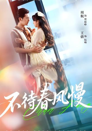 短剧不待春风慢海报