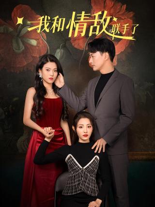 短剧我和情敌联手了海报