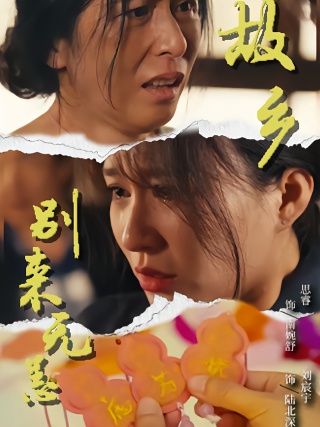 短剧故乡别来无恙海报